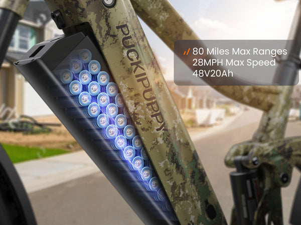 80 Miles Max Ranges 48V20Ah