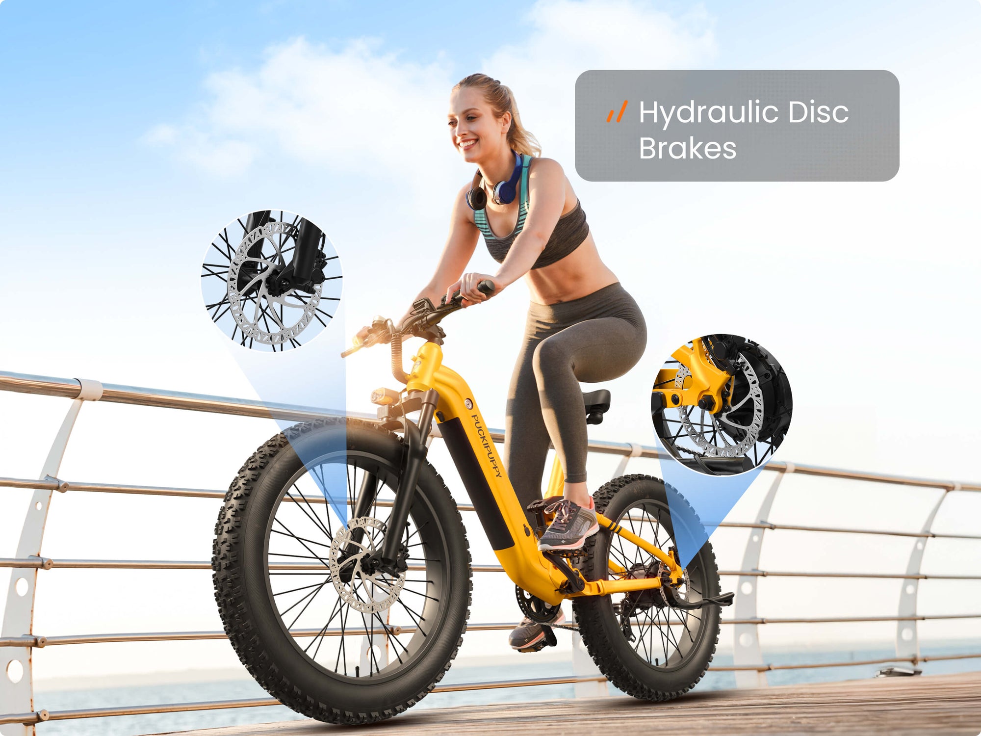 Hydraulic Disc Brake System