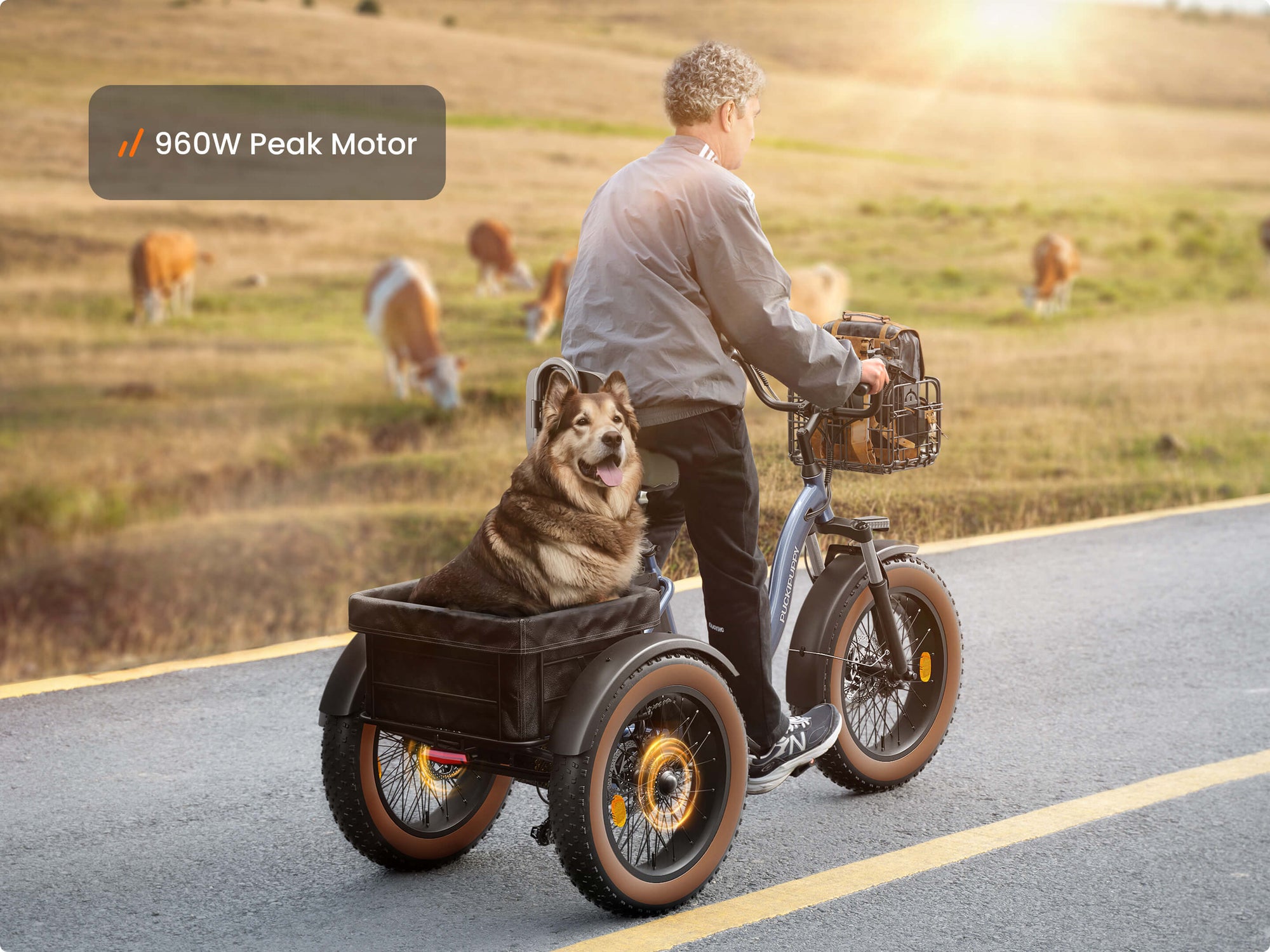 Alaskan Electric TricycleBlue