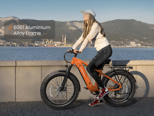 Beagle 2 Ebike*2Navy Blue&Grey+Orange