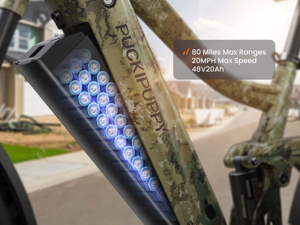 Boxer EbikeForest Camouflage