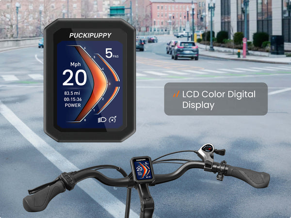 Full-Color LCD Display