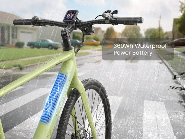 Doberman Ebikegreen yellow