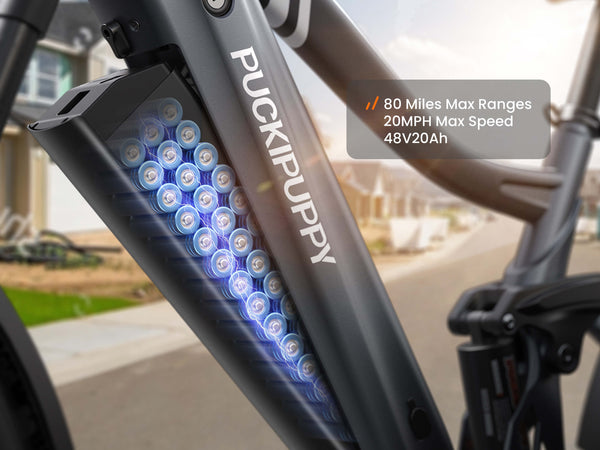 Boxer EbikeMetallic Gray