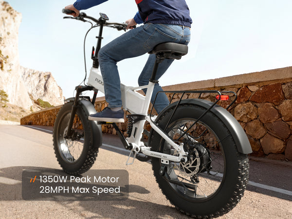 Dachshund Pro EbikeWhite