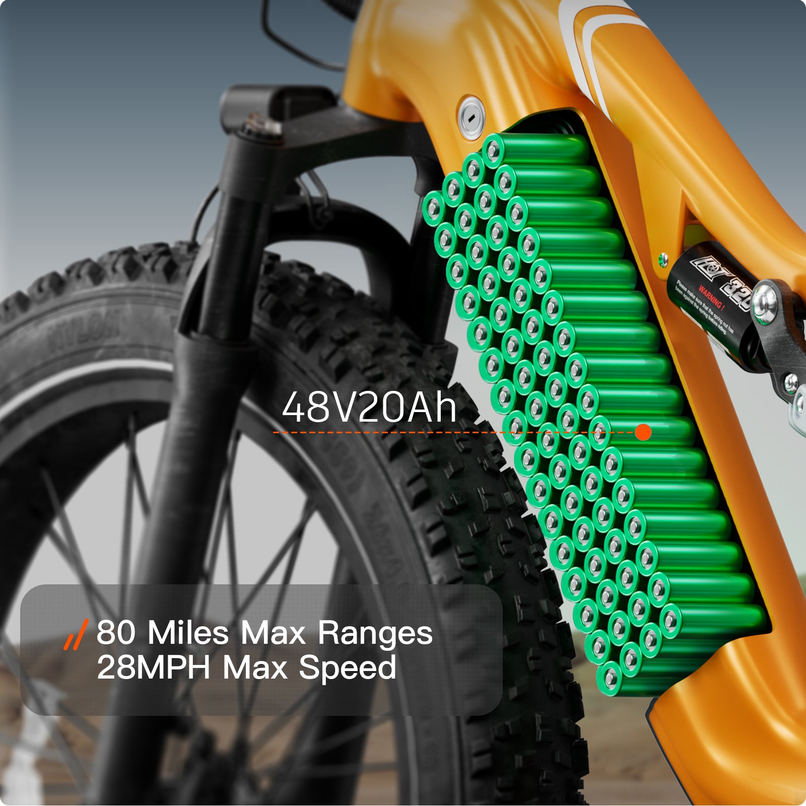 Labrador EbikeOrange