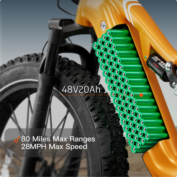 Labrador EbikeOrange