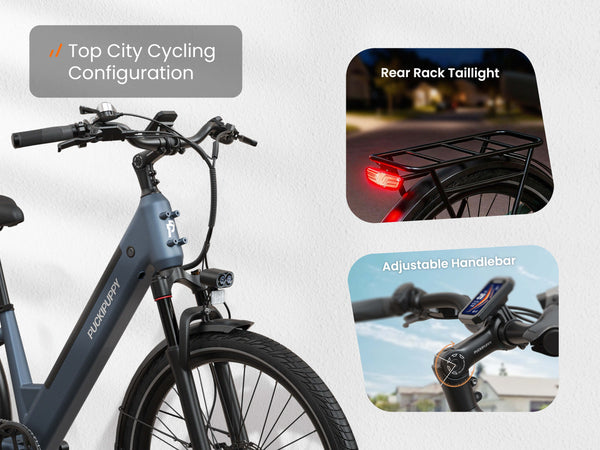 Poodle EbikeSlate Blue