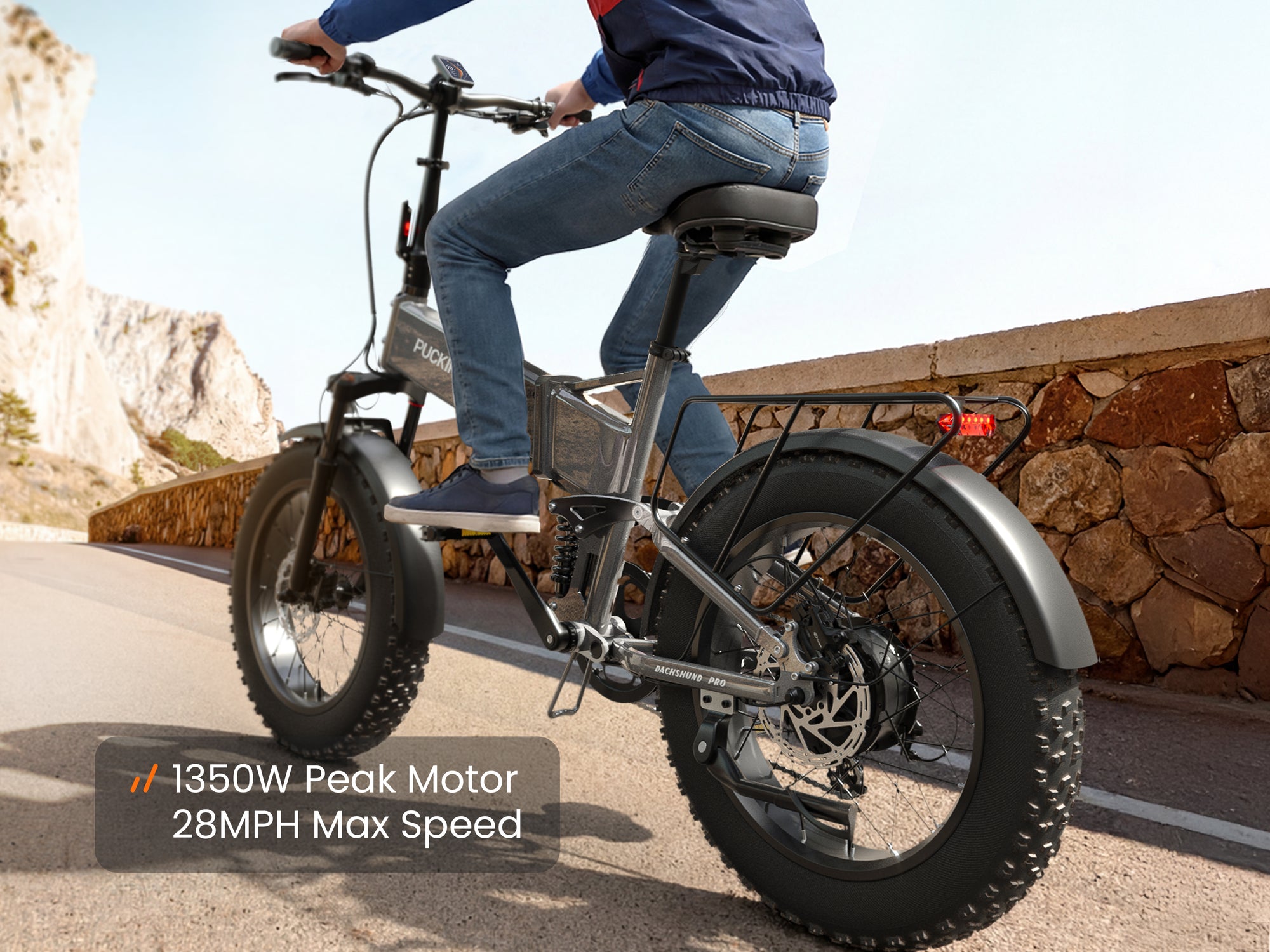 Dachshund Pro EbikeSilver Gray