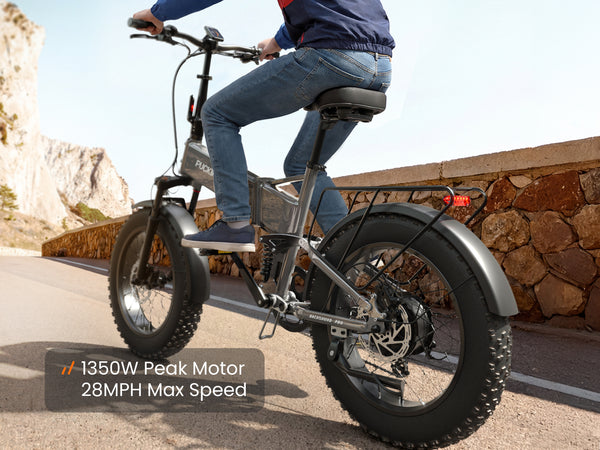 Dachshund Pro EbikeSilver Gray