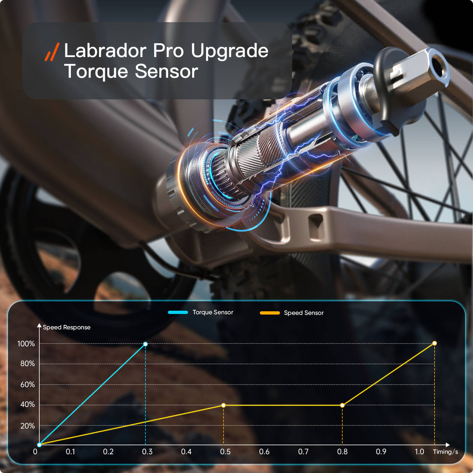 Labrador Pro EbikePlating Gray