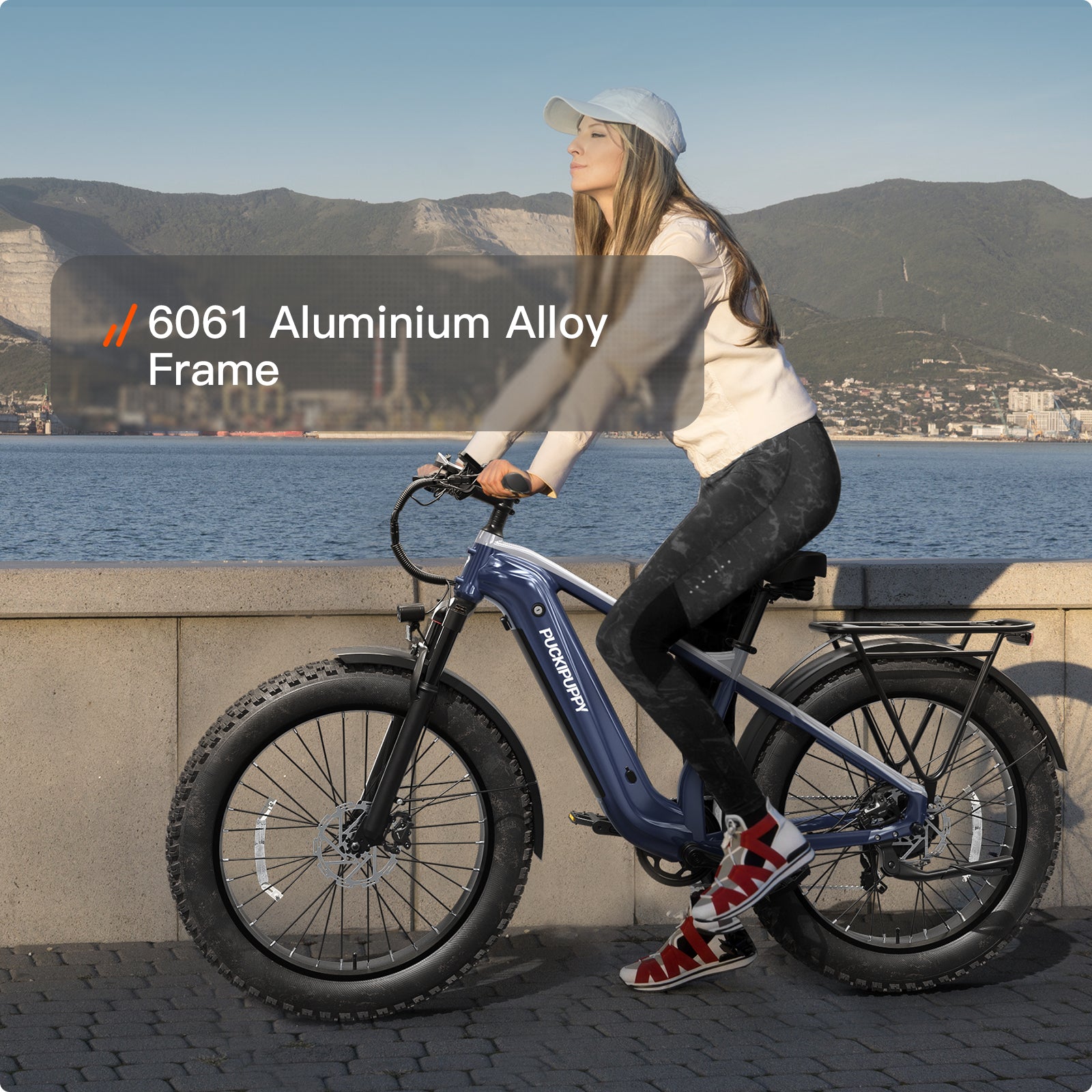 Beagle 2 EbikeNavy Blue + Gray