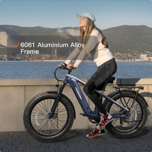 Beagle 2 EbikeNavy Blue + Gray