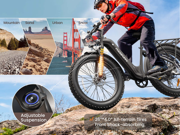 Beagle 2 ST EbikeBlack