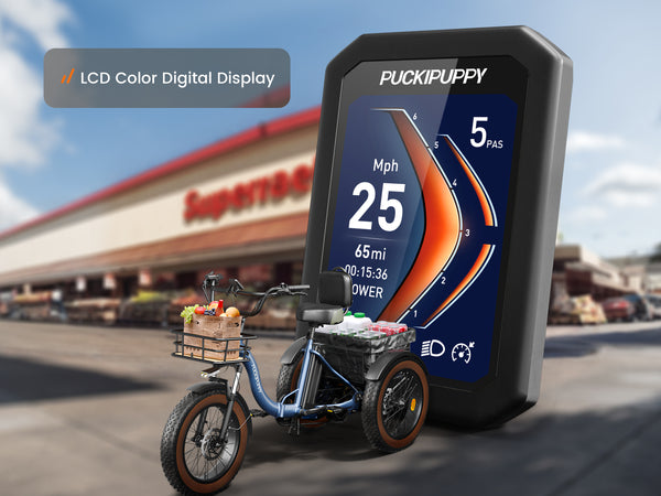 Alaskan Electric TricycleBlue