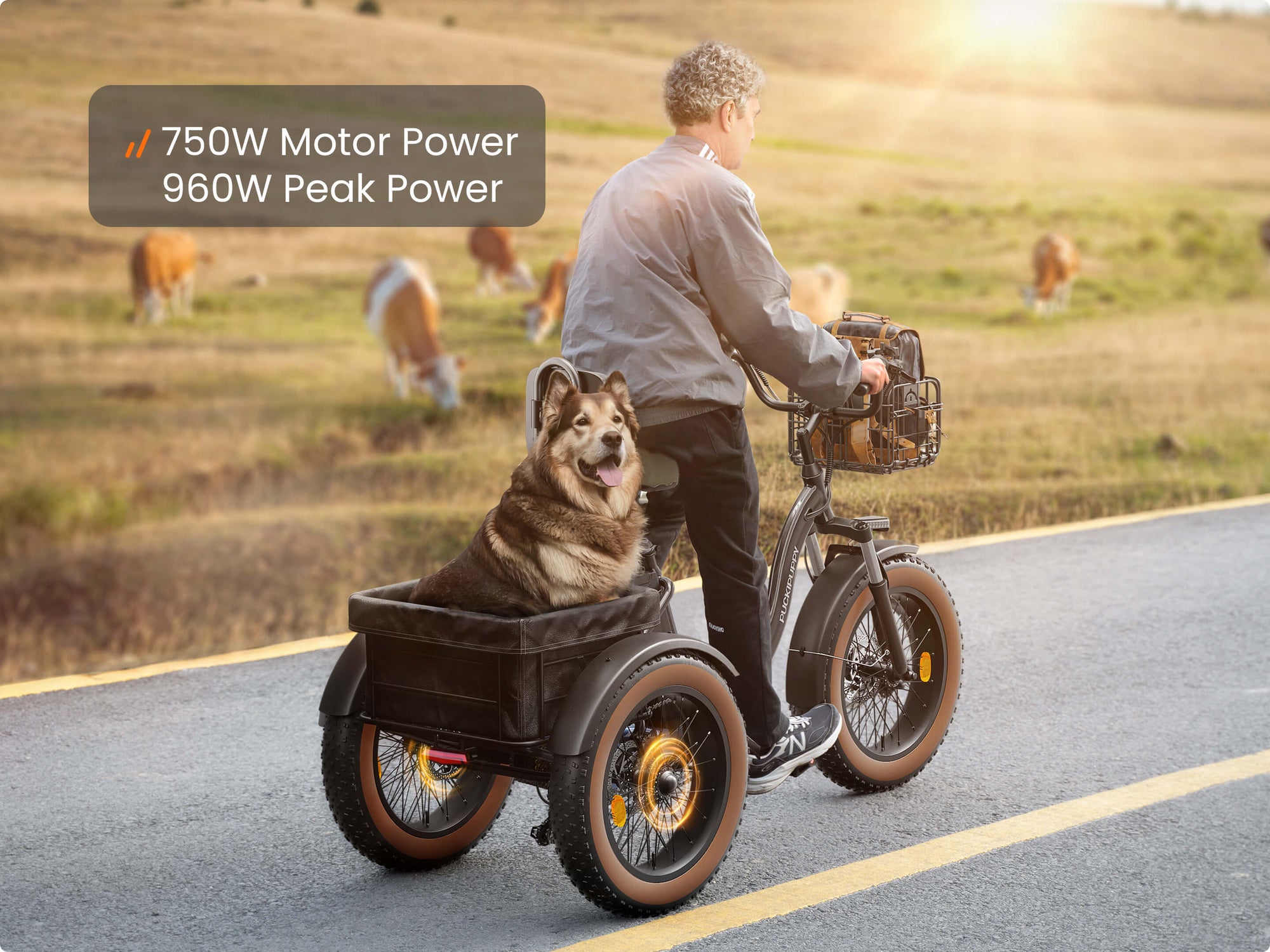 750w Motor Power