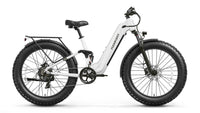 Boxer ST Ebike