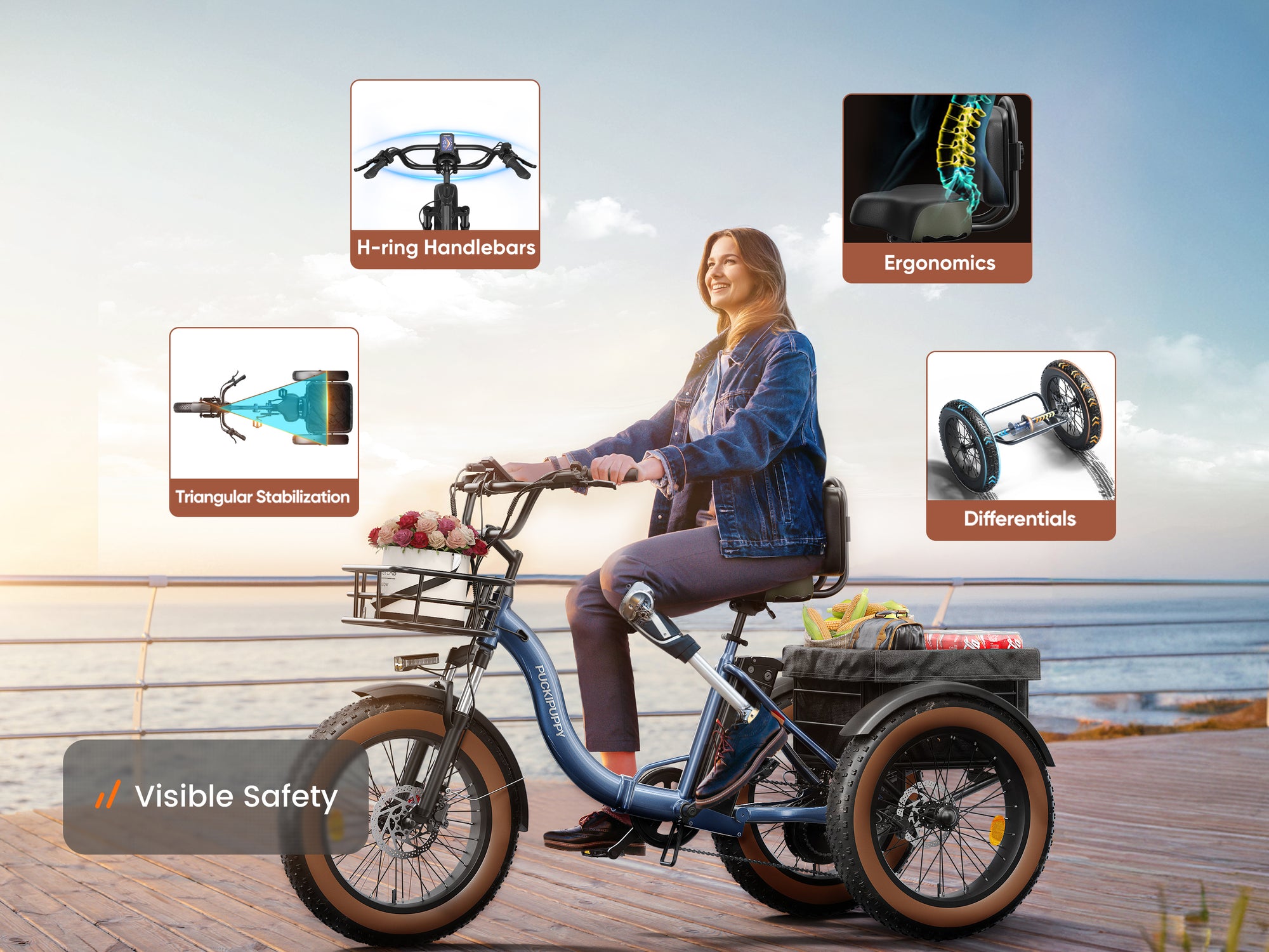 Alaskan Electric TricycleBlue