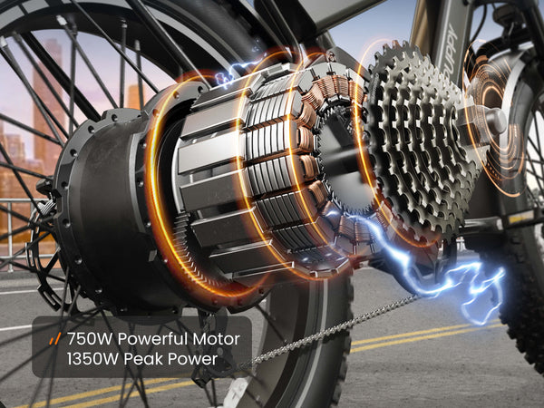 Bulldog Pro EbikeIron Gray