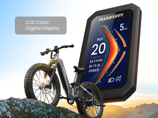 Digital Color Screen