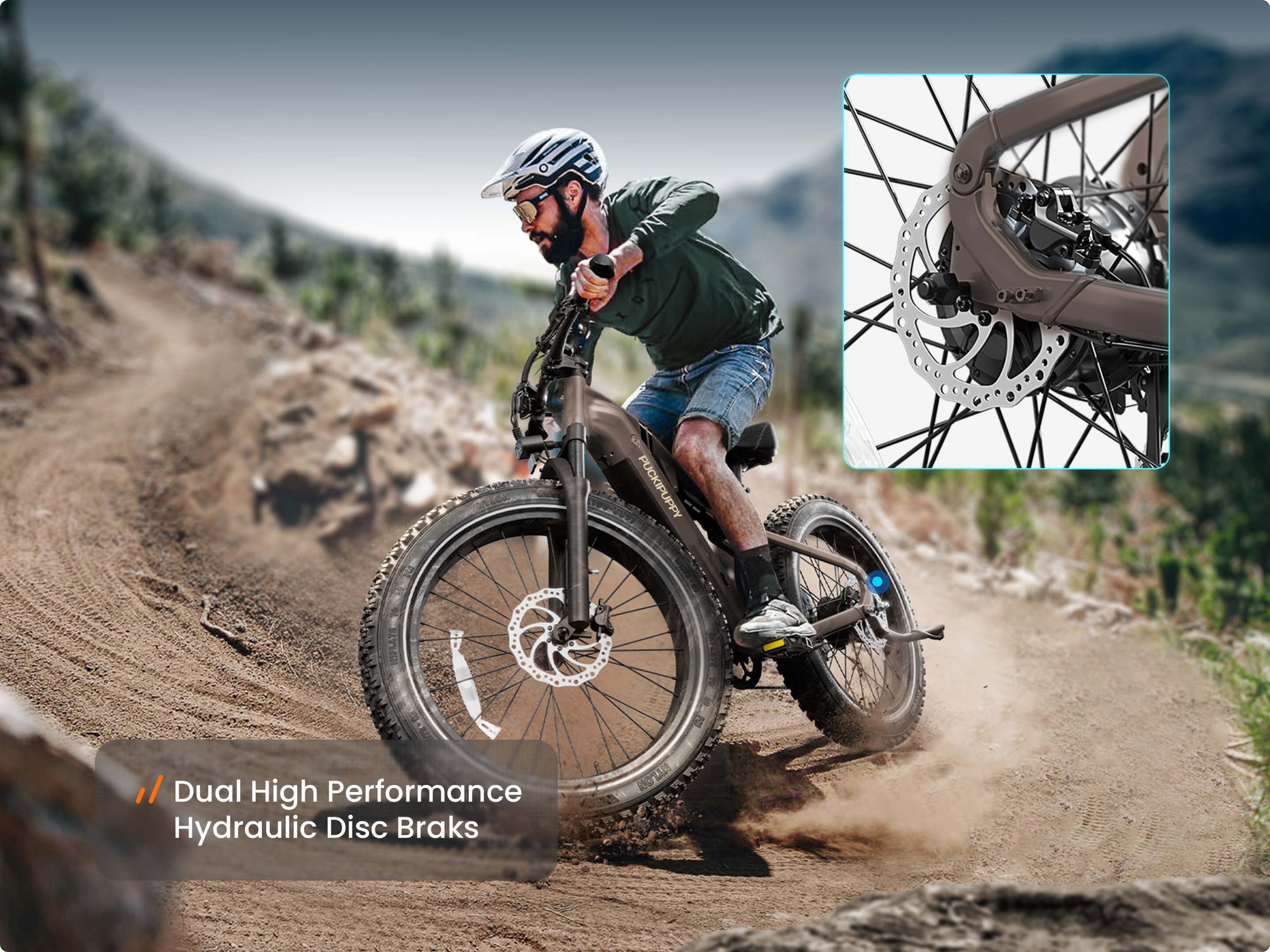 Labrador Pro EbikePlating Gray