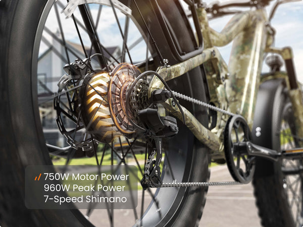 750W Motor Power 960W Peak Power