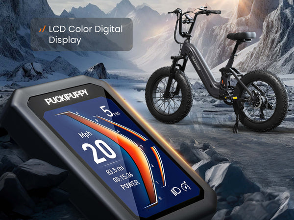 Bright Color LCD Screen