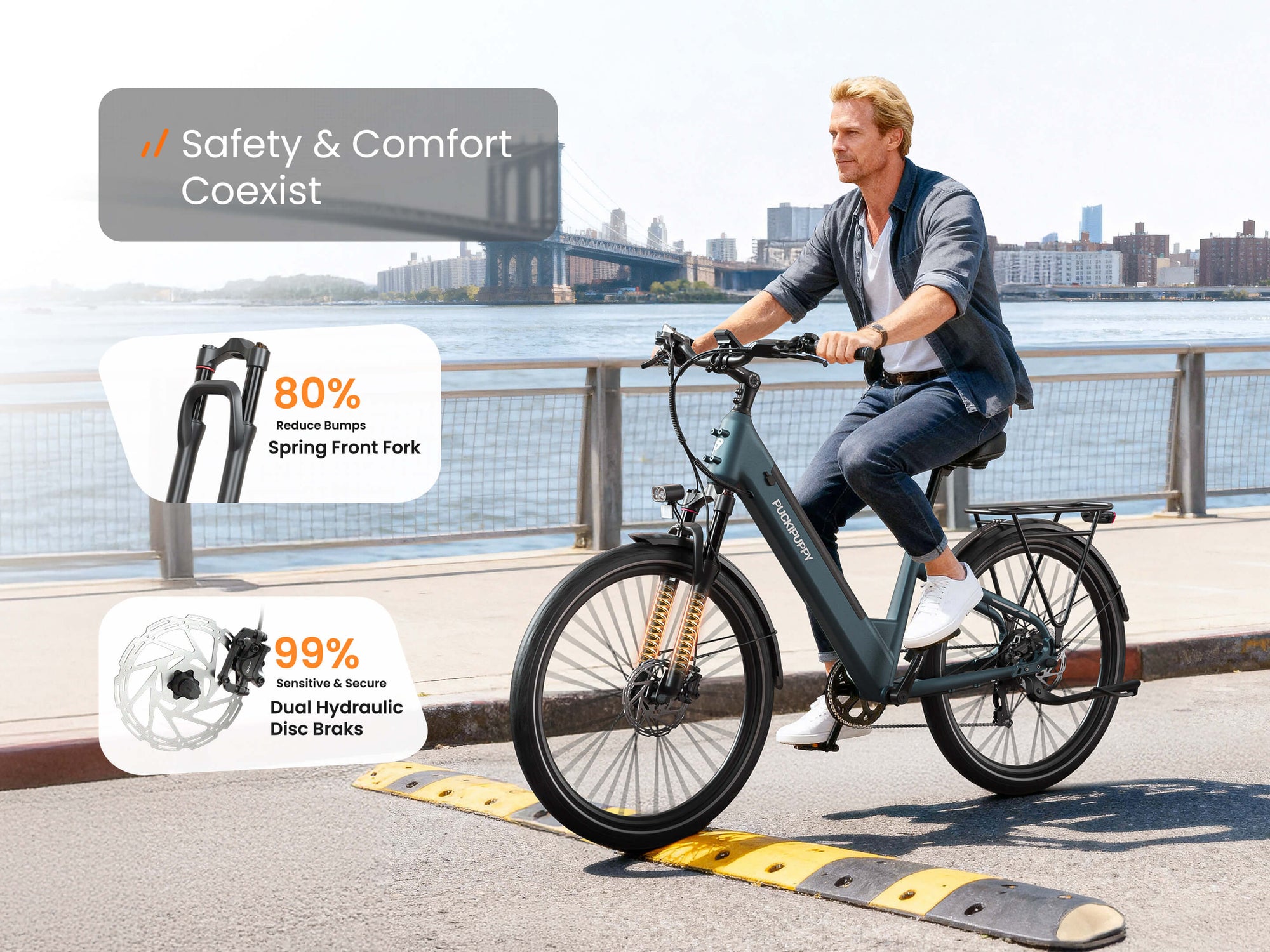 Poodle EbikeSlate Blue