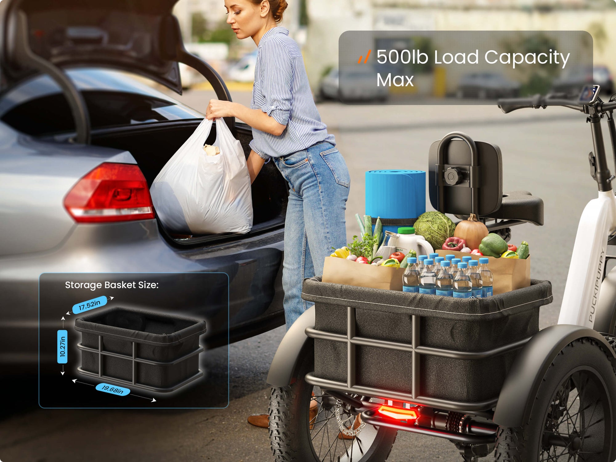 500 lb Maximum Carrying Capacity