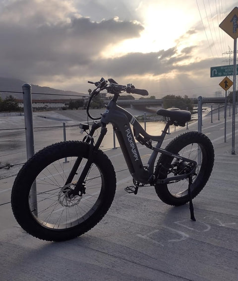 Electric Bike | Fat Tire Electric Bike for All Terrains | PUCKIPUPPY