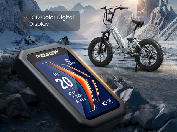 Multi-Function Color LCD Display