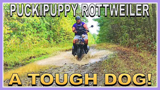 <p><strong>The Puckipuppy Rottweiler is a Stable and Waterproof Electric Trike! Live Electric Life!</strong></p>