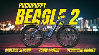 <p><strong>Is The Beagle 2 ST A Great Value? - Puckipuppy Ebike</strong></p>