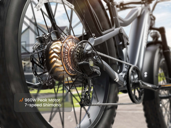 Boxer EbikeMetallic Gray