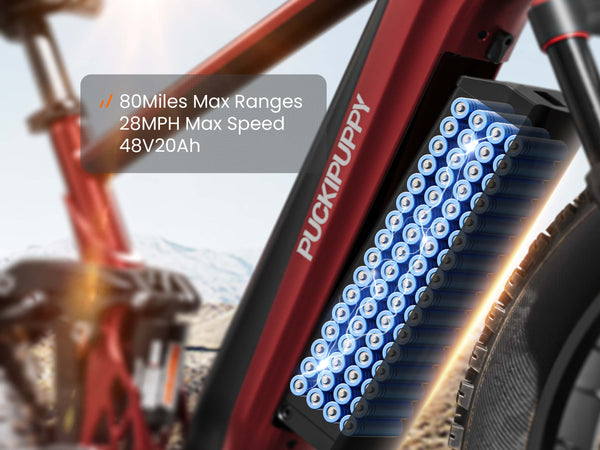 80Miles Max Ranges 28MPH Max Speed
48V20Ah