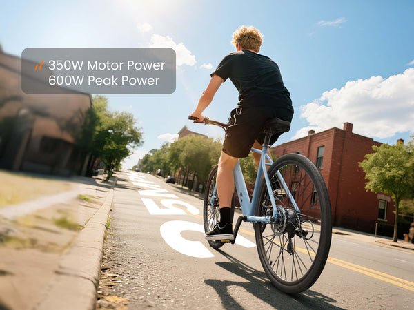 350w Motor Power 600W Peak Power