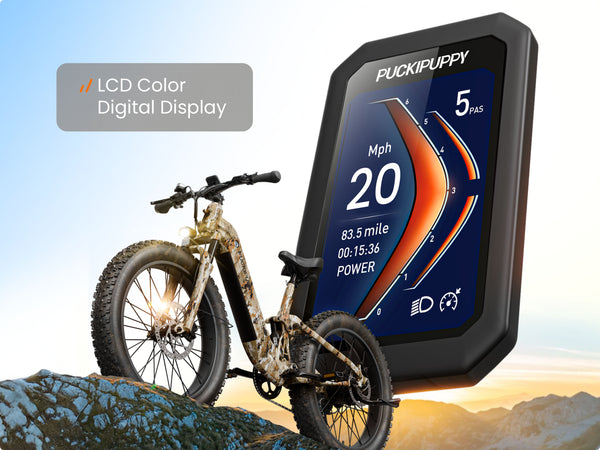Boxer ST Ebike