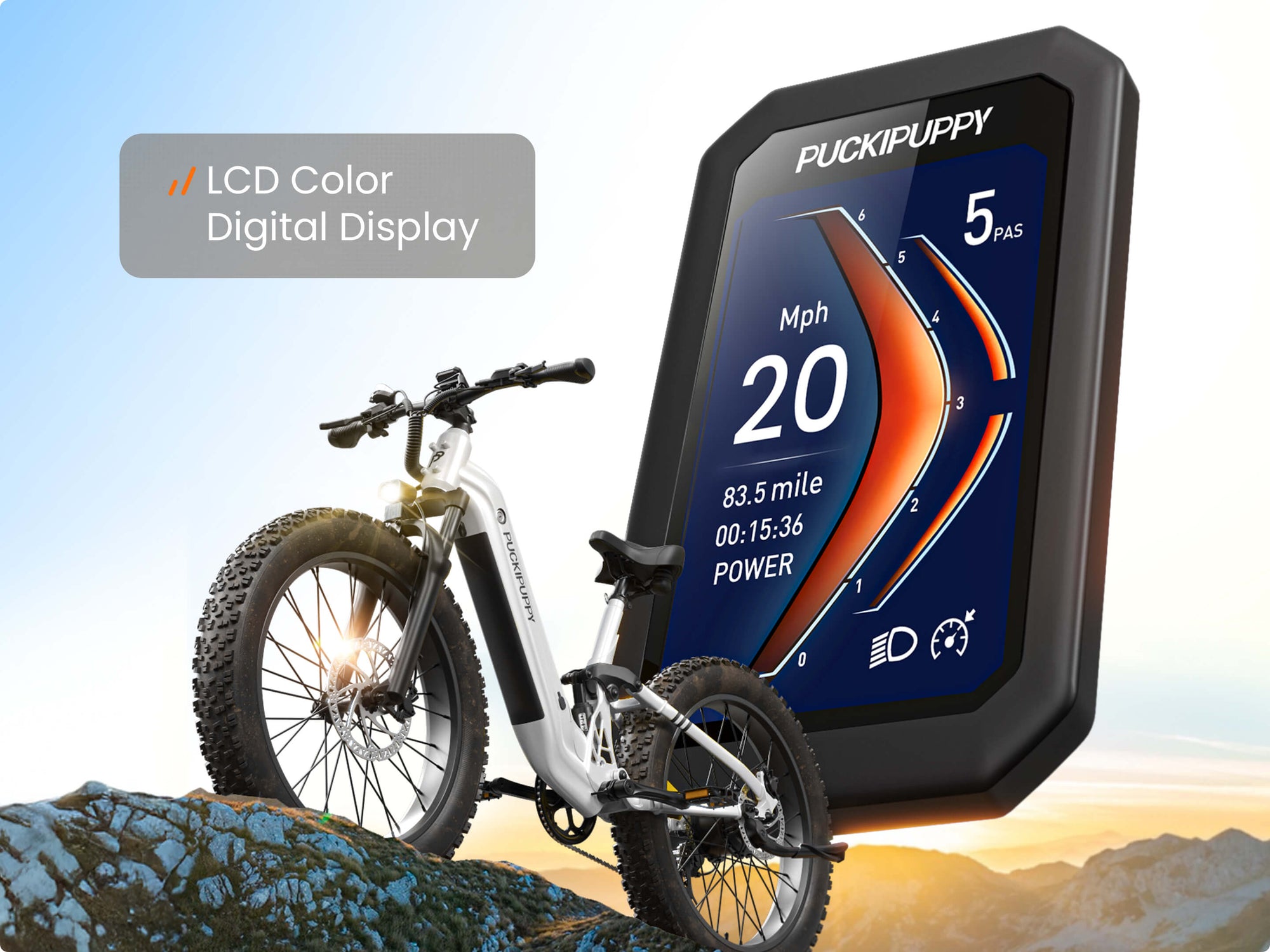 Smart Color LCD Display