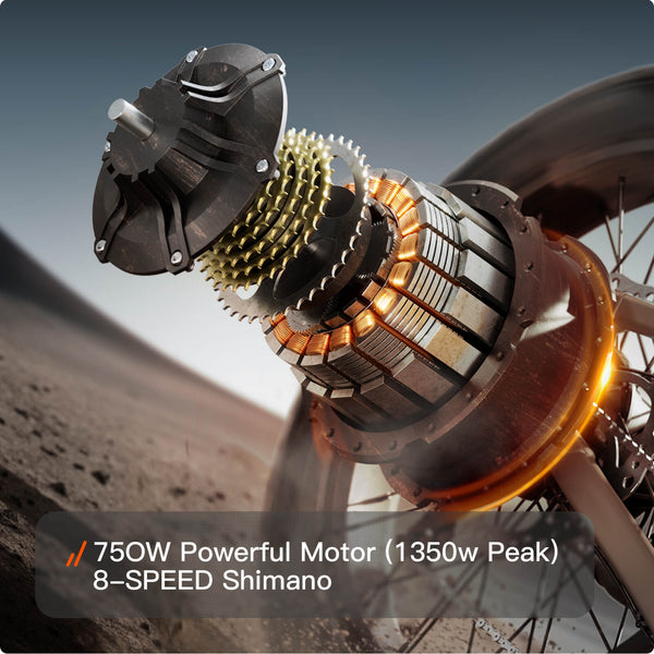 Labrador Pro EbikePlating Gray