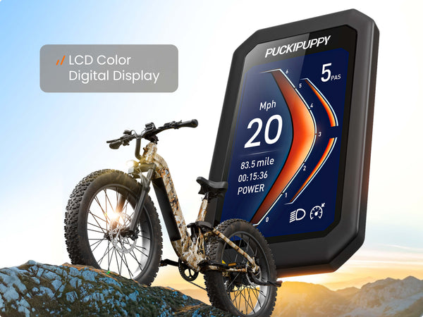 LCD Color Digital Display