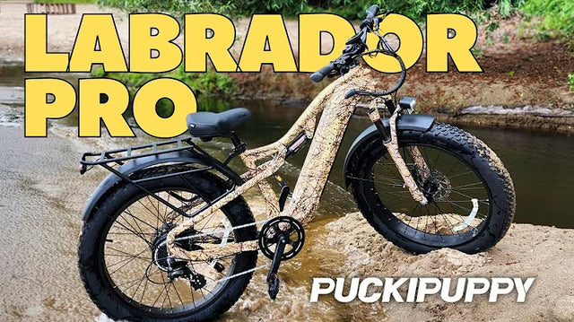 <p><strong>Can the Puckipuppy Labrador Pro Handle ANY Terrain You Throw At It?</strong></p>