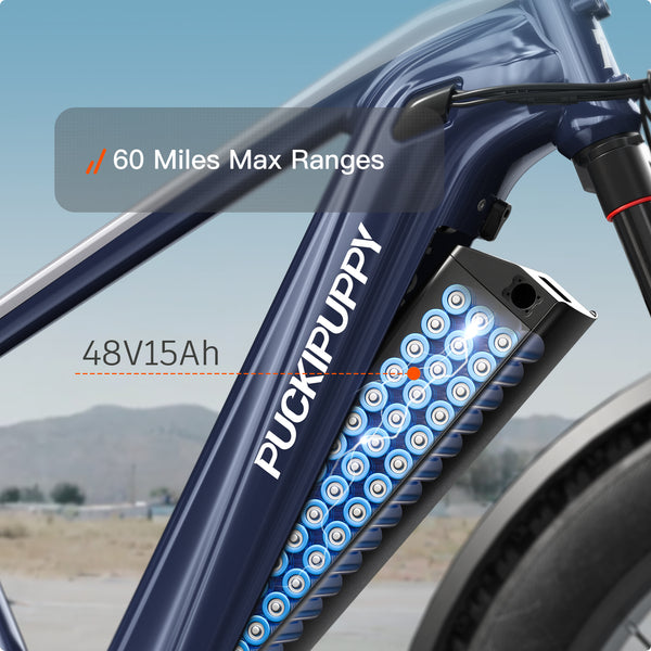 Beagle 2 EbikeNavy Blue + Gray