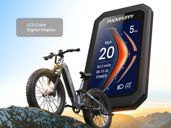 Boxer ST EbikeMetallic Gray