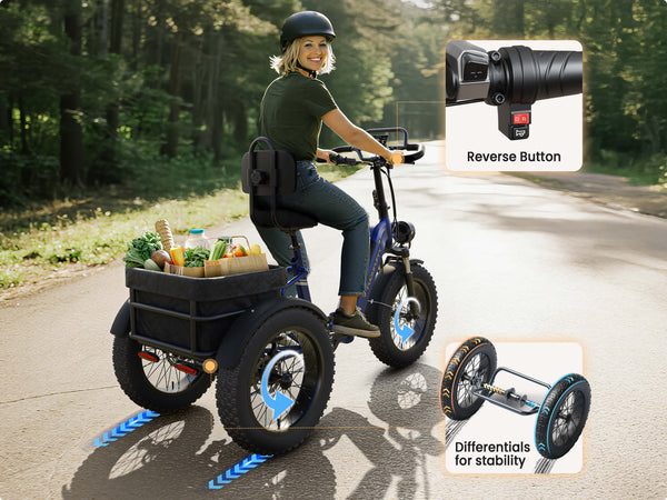 Rottweiler Electric TricycleBlue