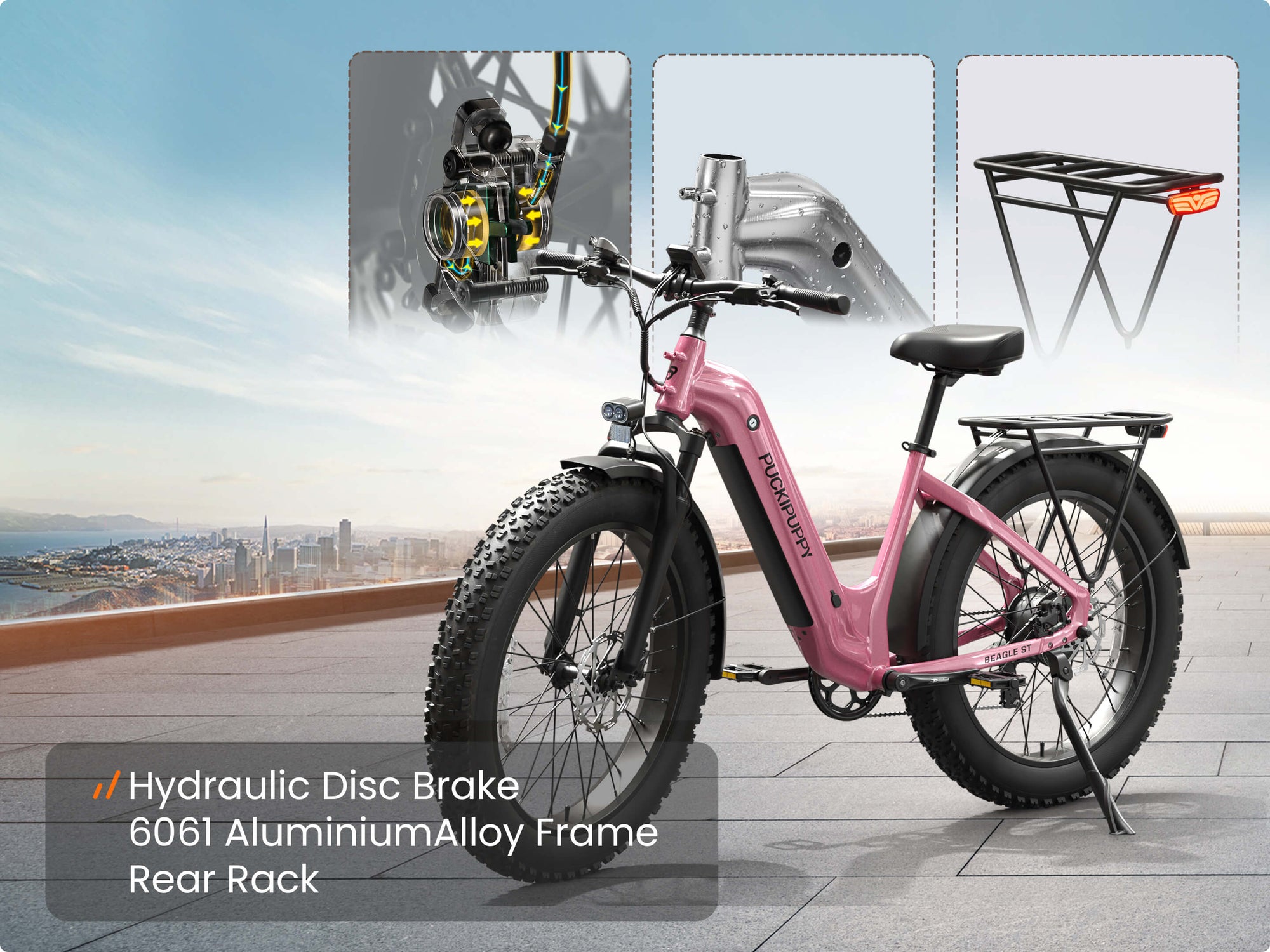 Hydraulic Disc Brake