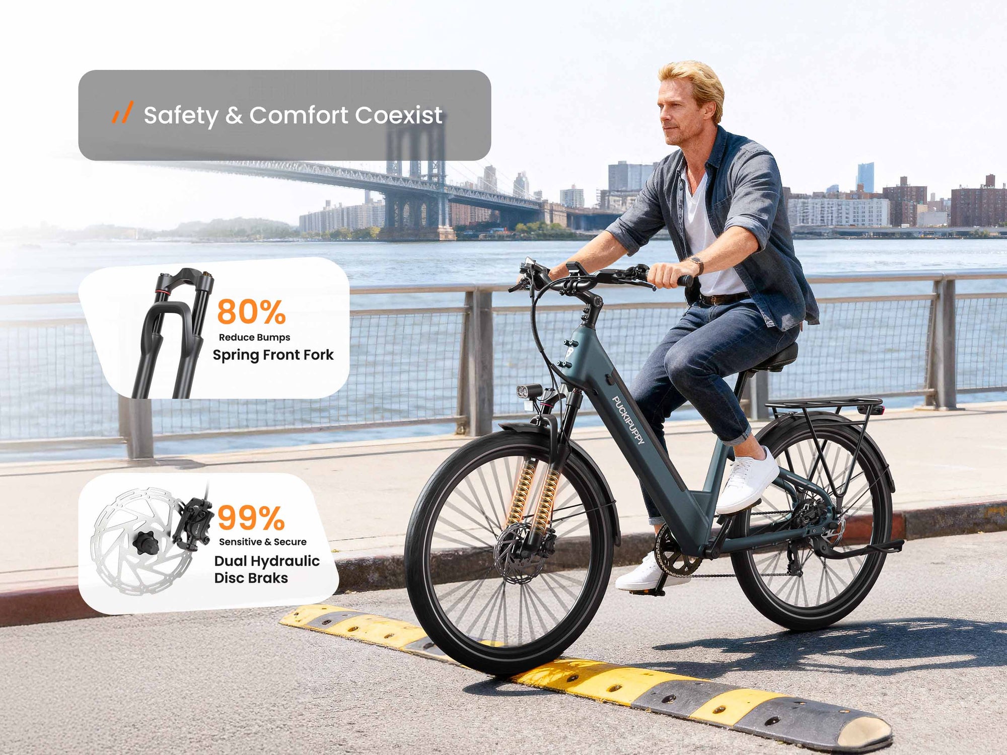 Poodle EbikeSlate Blue