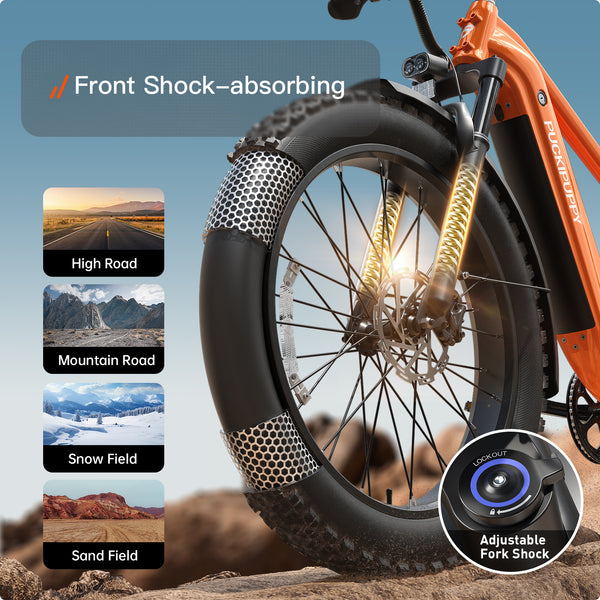 Beagle 2 EbikeOrange