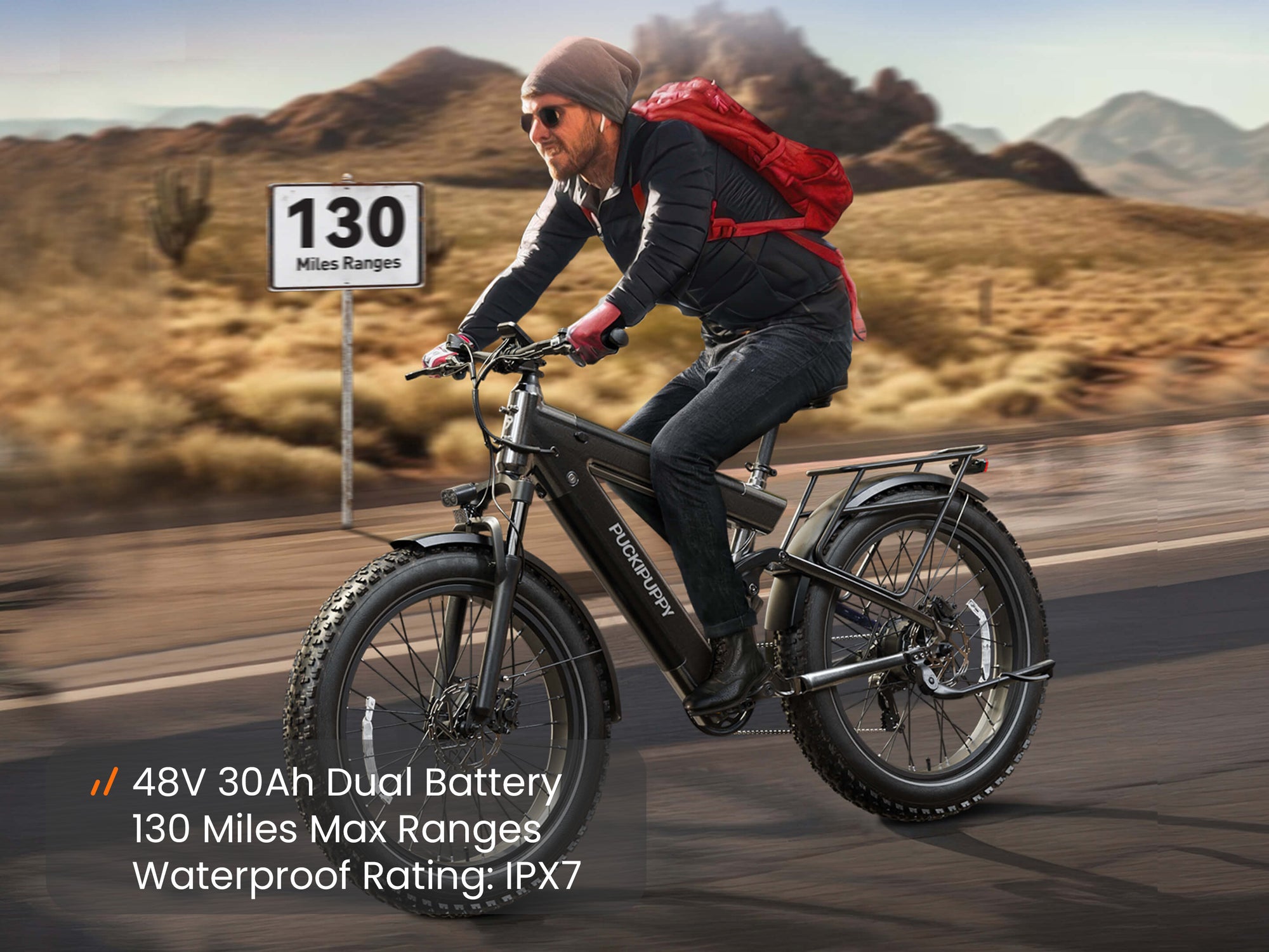 Bulldog EbikeIron Gray