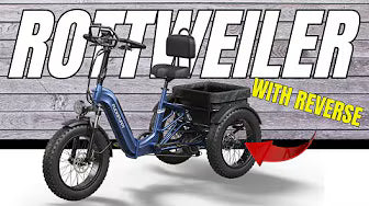 <p><strong>ALL NEW!!!! Puckipuppy Rottweiler Etrike - Full Suspension and Reverse</strong></p>