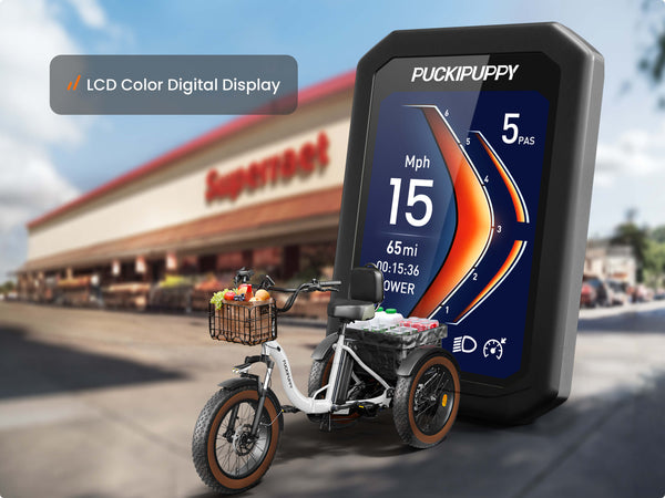 Alaskan Electric TricycleWhite